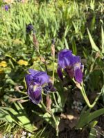 Granada  &ndash; &copy; Francisco Javier Burgos Gutierrez (Eberhardt TRAVEL)