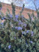 Granada  &ndash; &copy; Francisco Javier Burgos Gutierrez (Eberhardt TRAVEL)