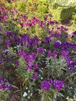 Granada  &ndash; &copy; Francisco Javier Burgos Gutierrez (Eberhardt TRAVEL)