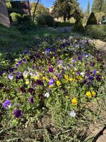 Granada  &ndash; &copy; Francisco Javier Burgos Gutierrez (Eberhardt TRAVEL)