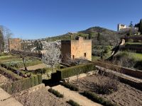 Granada  &ndash; &copy; Francisco Javier Burgos Gutierrez (Eberhardt TRAVEL)