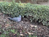 Granada  &ndash; &copy; Francisco Javier Burgos Gutierrez (Eberhardt TRAVEL)