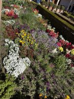 Granada  &ndash; &copy; Francisco Javier Burgos Gutierrez (Eberhardt TRAVEL)