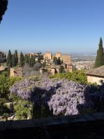 Granada  &ndash; &copy; Francisco Javier Burgos Gutierrez (Eberhardt TRAVEL)
