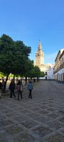 Alcazar Sevilla 