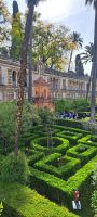 Alcazar Sevilla 
