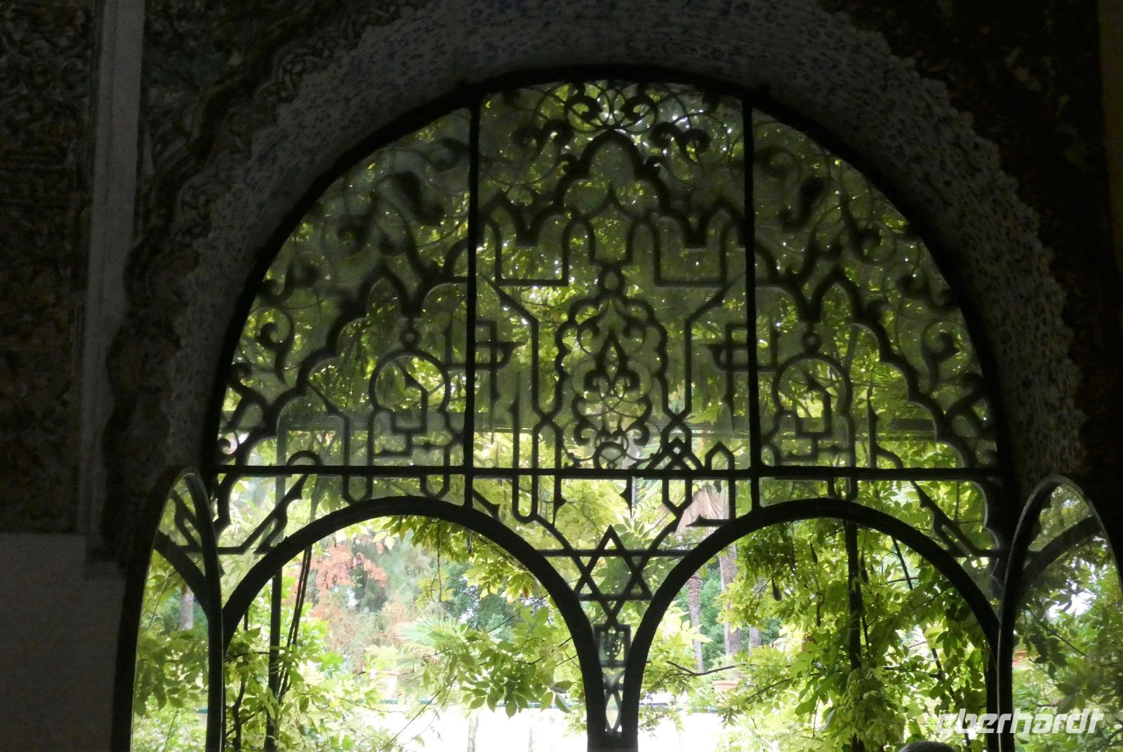 Blick in den Garten