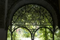 Blick in den Garten