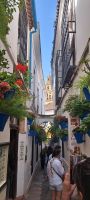 Cordoba 