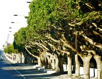 Fahrt nach Rabat
