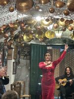Flamenco = Gitarre und Tanz
