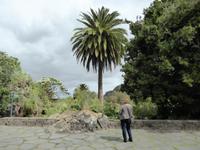 Gran Canaria