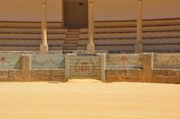 In der Arena