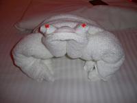 Kabinenservice