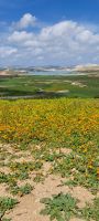 Landschaft Fes