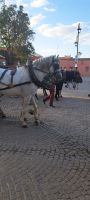 Marrakech Djemaa el Fna Platz