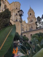 Strelitzien und die Kathedrale von Malaga