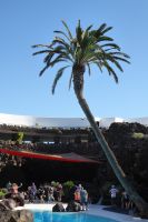  Jameos del Aqua