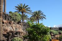  Jameos del Aqua