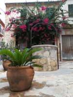 0052 Alcudia