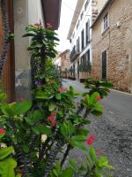 0053 Alcudia