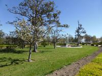046-Aranjuez