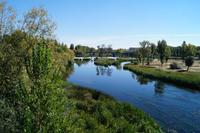 08-10-2016 Salamanca, der Río Tormes, eine grüne Augenweide im verbrannten Land