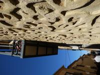 100 Segovia