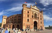 024 Plaza de Toros