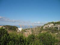 Wanderung von Son Bou nach Es Canutells