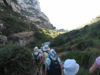 Wanderung von Son Bou nach Es Canutells