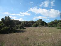 Wanderung von Son Bou nach Es Canutells