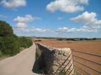 Wanderung von Son Bou nach Es Canutells
