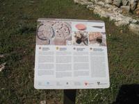 Wanderung von Son Bou nach Es Canutells