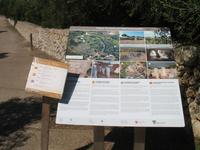 Wanderung von Son Bou nach Es Canutells