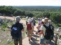 Wanderung von Son Bou nach Es Canutells