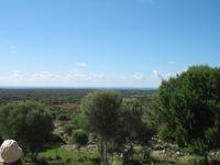 Wanderung von Son Bou nach Es Canutells