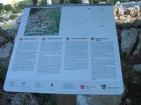 Wanderung von Son Bou nach Es Canutells