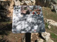 Wanderung von Son Bou nach Es Canutells