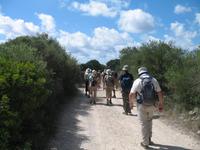 Wanderung von Son Bou nach Es Canutells