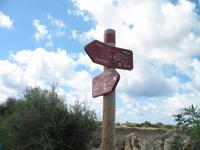 Wanderung von Son Bou nach Es Canutells