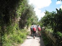 Wanderung von Son Bou nach Es Canutells