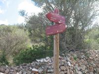 Wanderung von Son Bou nach Es Canutells