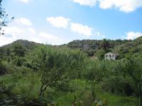 Wanderung von Son Bou nach Es Canutells