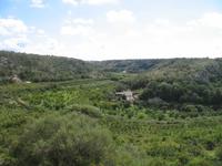 Wanderung von Son Bou nach Es Canutells