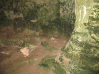 Wanderung von Son Bou nach Es Canutells