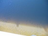 Wanderung von Cala Tirant an den Strand von Binimel-lá