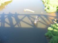 Wanderung von Cala Tirant an den Strand von Binimel-lá