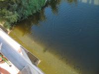 Wanderung von Cala Tirant an den Strand von Binimel-lá