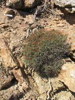 Wanderung von Cala Tirant an den Strand von Binimel-lá